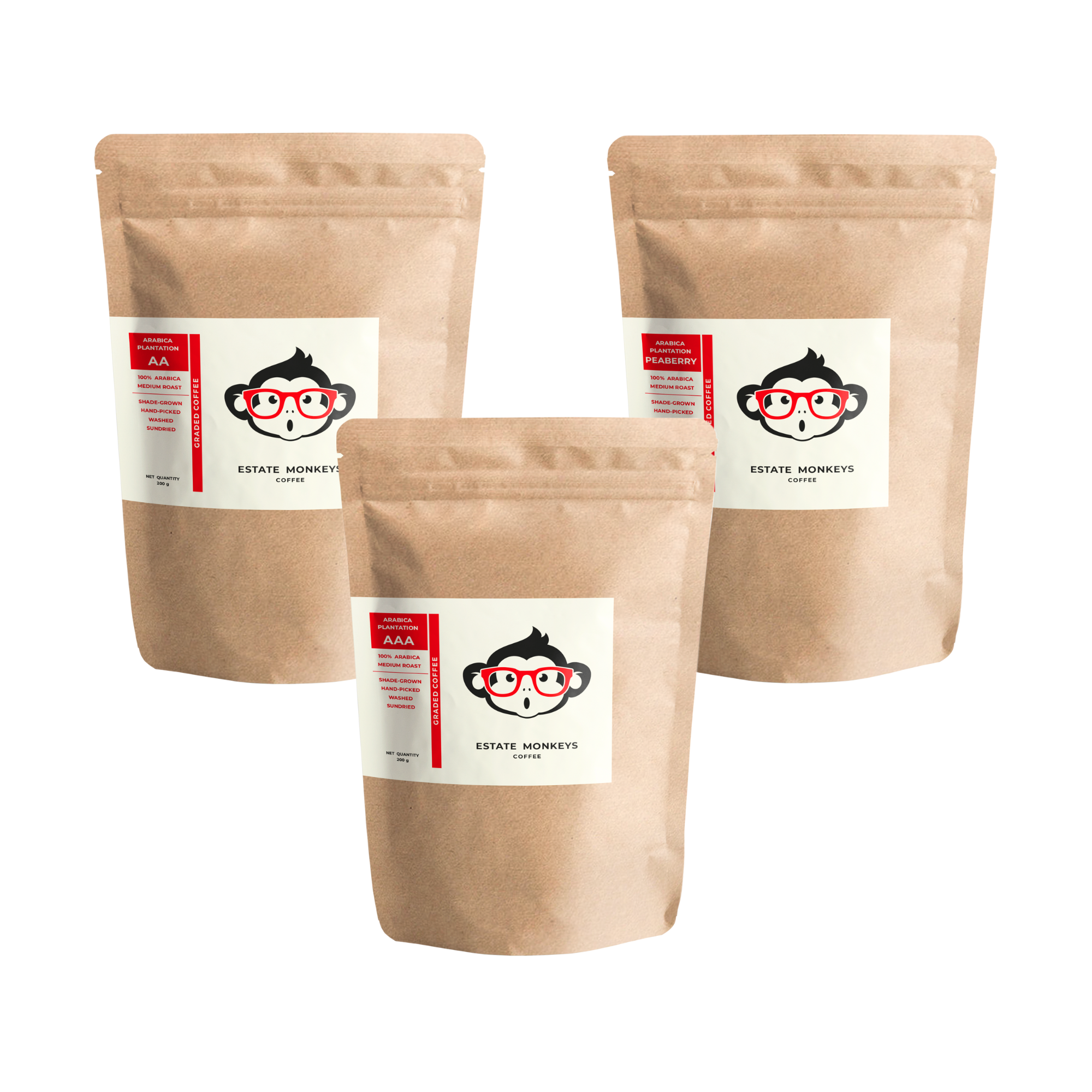 COORG ARABICA | COFFEE BOX